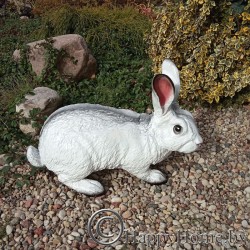 Кролик (заяц) в натуральную...
